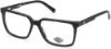 Picture of Harley Davidson Eyeglasses HD0859
