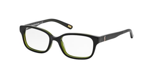 Picture of Polo Eyeglasses PP8520