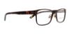Picture of Polo Eyeglasses PP8032