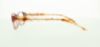 Picture of Polo Eyeglasses PP8519