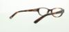 Picture of Polo Eyeglasses PP8519