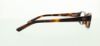 Picture of Polo Eyeglasses PP8519
