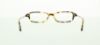 Picture of Polo Eyeglasses PP8517