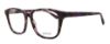 Picture of Guess Eyeglasses GU2810