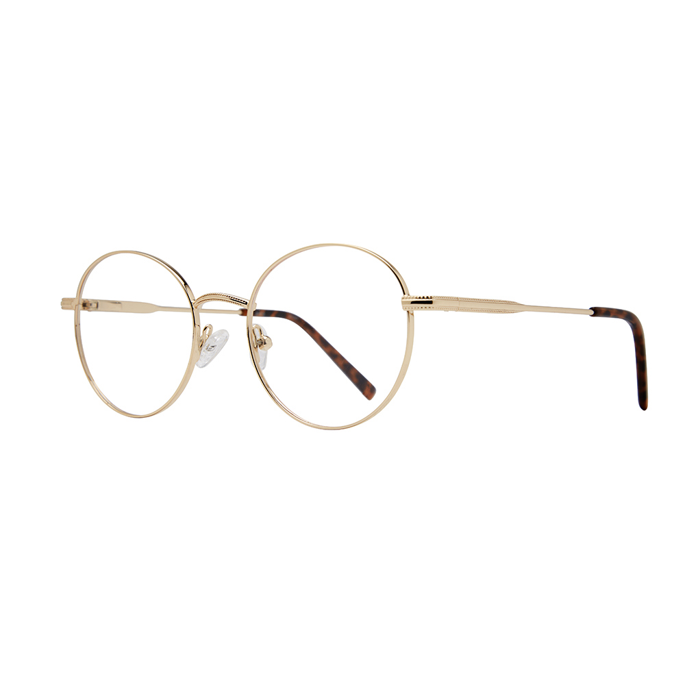 Picture of Stylewise Eyeglasses SW347