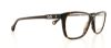 Picture of D&G Eyeglasses DD1238