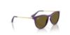 Picture of Ray Ban Jr Sunglasses RJ9060S