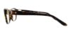 Picture of Ralph Lauren Eyeglasses RL6113Q