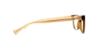 Picture of Coach Eyeglasses HC6072