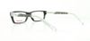 Picture of Converse Eyeglasses K013