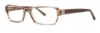 Picture of Vera Wang Eyeglasses V311