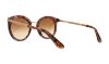 Picture of Dolce & Gabbana Sunglasses DG4268