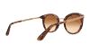 Picture of Dolce & Gabbana Sunglasses DG4268