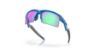 Picture of Oakley Sunglasses FROGSKINS