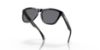 Picture of Oakley Sunglasses FROGSKINS
