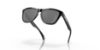 Picture of Oakley Sunglasses FROGSKINS