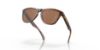Picture of Oakley Sunglasses FROGSKINS
