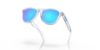 Picture of Oakley Sunglasses FROGSKINS