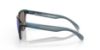 Picture of Oakley Sunglasses FROGSKINS