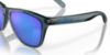 Picture of Oakley Sunglasses FROGSKINS
