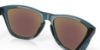 Picture of Oakley Sunglasses FROGSKINS