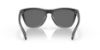 Picture of Oakley Sunglasses FROGSKINS