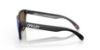 Picture of Oakley Sunglasses FROGSKINS