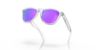 Picture of Oakley Sunglasses FROGSKINS