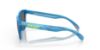 Picture of Oakley Sunglasses FROGSKINS