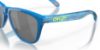 Picture of Oakley Sunglasses FROGSKINS