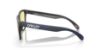 Picture of Oakley Sunglasses FROGSKINS