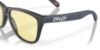 Picture of Oakley Sunglasses FROGSKINS