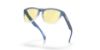 Picture of Oakley Sunglasses FROGSKINS