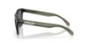 Picture of Oakley Sunglasses FROGSKINS
