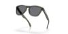 Picture of Oakley Sunglasses FROGSKINS