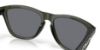 Picture of Oakley Sunglasses FROGSKINS