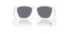 Picture of Oakley Sunglasses FROGSKINS