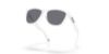Picture of Oakley Sunglasses FROGSKINS