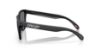 Picture of Oakley Sunglasses FROGSKINS
