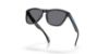 Picture of Oakley Sunglasses FROGSKINS