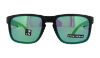 Picture of Oakley Sunglasses HOLBROOK