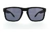 Picture of Oakley Sunglasses HOLBROOK