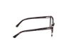 Picture of Skechers Eyeglasses SE50102