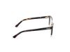Picture of Skechers Eyeglasses SE50102