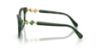 Picture of Swarovski Eyeglasses SK2048