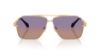 Picture of Versace Sunglasses VE2284