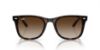 Picture of Ray Ban Sunglasses RB4420