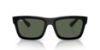 Picture of Ray Ban Sunglasses RB4396F