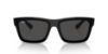 Picture of Ray Ban Sunglasses RB4396F