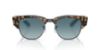 Picture of Ray Ban Sunglasses RB0316S